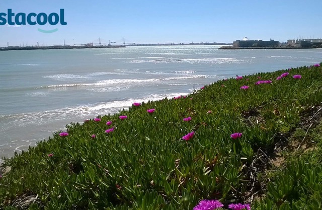 Luxury Family Villa at 50m from Natural Park with dunes & beach 300 m.