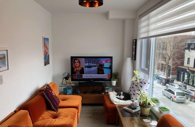 Luxury loft downtown with privater terrasse, everything included.