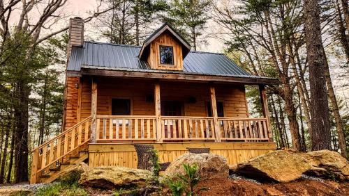 Luxury Mountain View Cabin Near Asheville NC