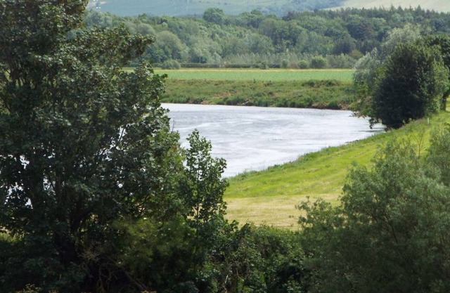 Luxury petfriendly cottage on the banks of the river Tweed