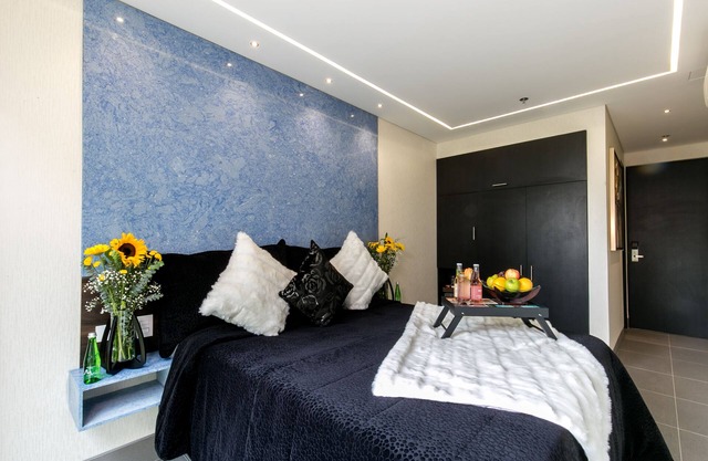 Luxury Room With window