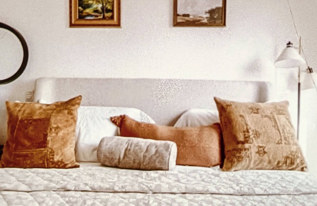 Luxury suites polanco