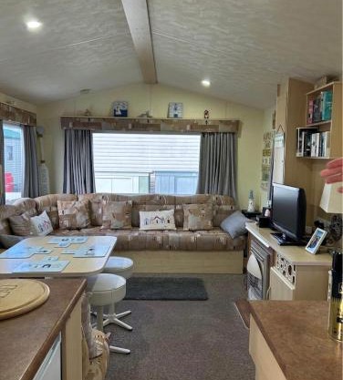 M15 Meadow View Golden palm