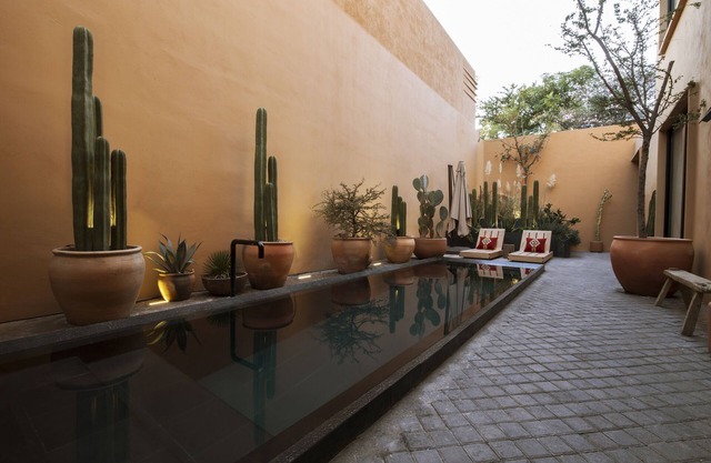 Macondo Arte Oaxaca