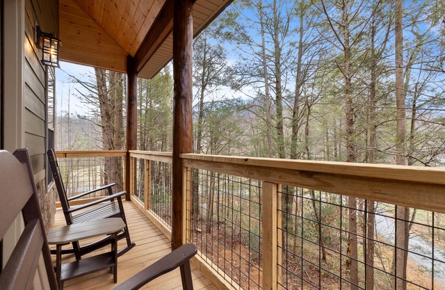 Maddron Bald | New Tiny Home + Wooded Balcony Views