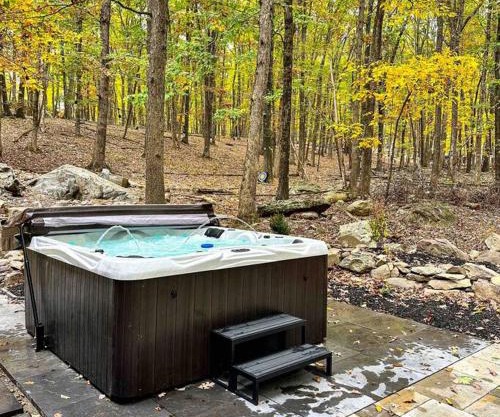 Mahogany Sun Hot Tub Theater Room Fire Pit