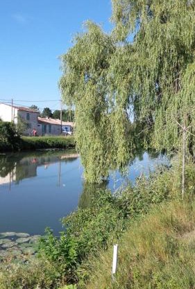 Maison calme au bord de l'eau