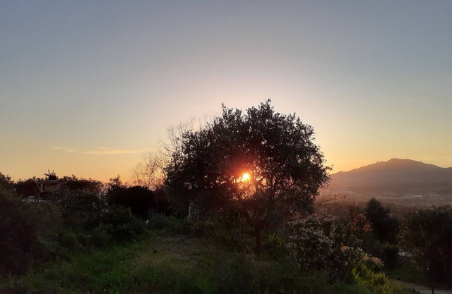 Maisonette T2 in the heart of nature, near ajaccio