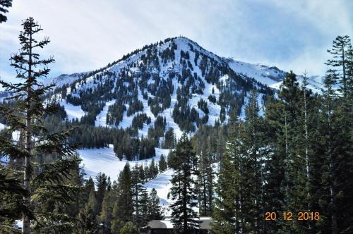 Mammoth Ski & Racquet Club #38 - Pet Okay