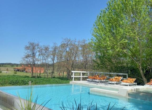 Mandarina suites