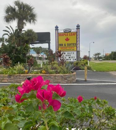 Maple Leaf Inn & Suites