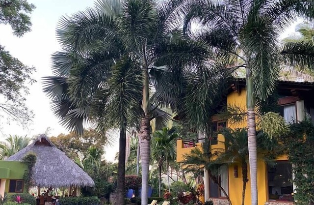 Marina Chacala-Ocean, Jungle & Private Beach