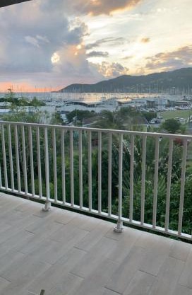 Marina sunrise