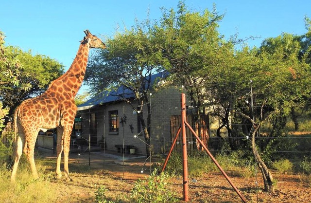 Marulani Bush Lodge