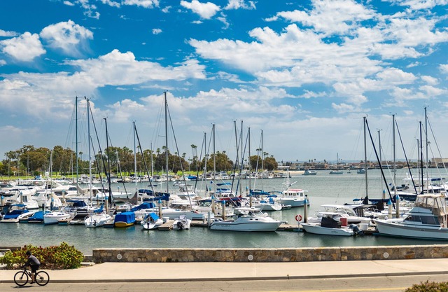 Maven's Haven - newly renovated, steps from Hotel Del, pacific ocean and beaches
