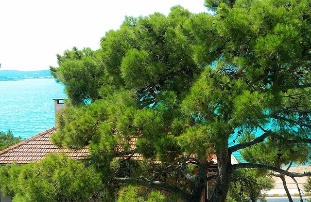 Mavi Pansiyon
