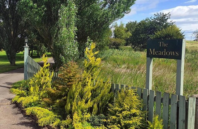 Meadows 2