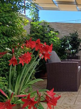 Melinta Stay - Near Airport, Rafina Port & Sea