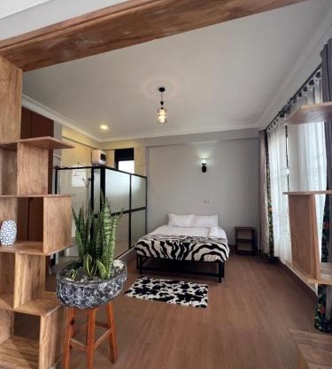 MiCasa Backpackers