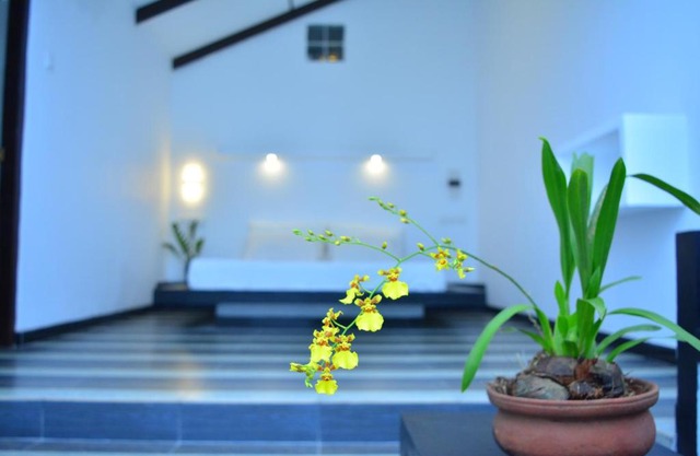 Midigama Holiday Inn