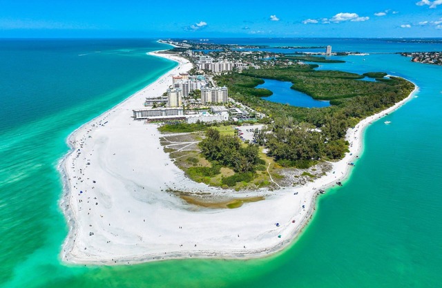 Minorga Sand Dollar on the Key