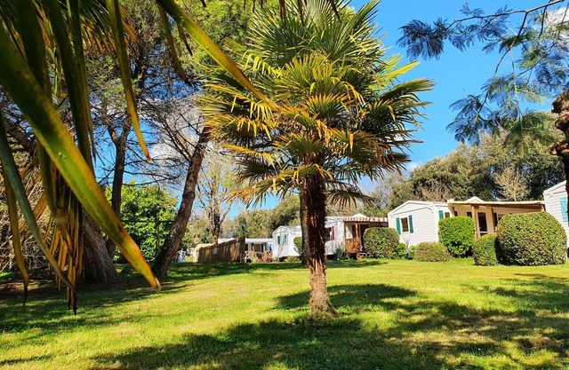 mobile-home rental