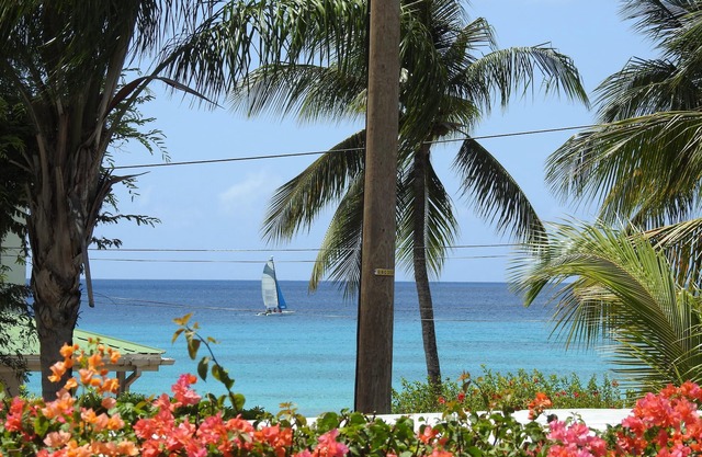 Modern Beach-View Villa