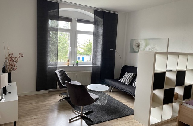 Modern cozy and bright apartment in Dresden "House Liberty"
