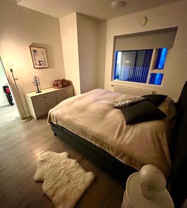 Modern Luxury Apartment Downtown