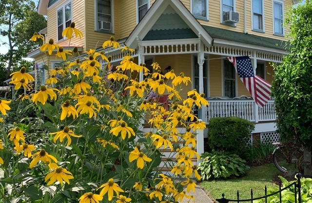 Monarch Season! Pet friendly ,nWedding Party Accommodation Fall 2025