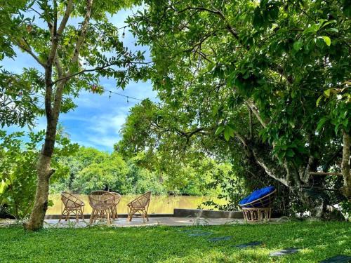 Monkeys Lodge