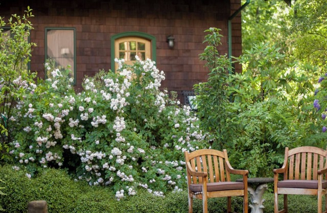 Mossy Cobbles: Romantic Cottage in a Wooded Setting