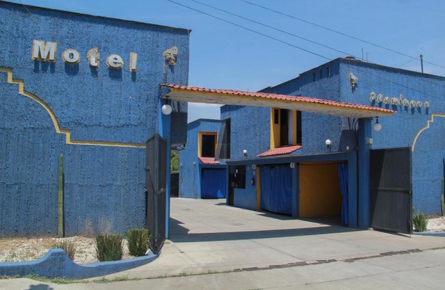 Motel Flamingos