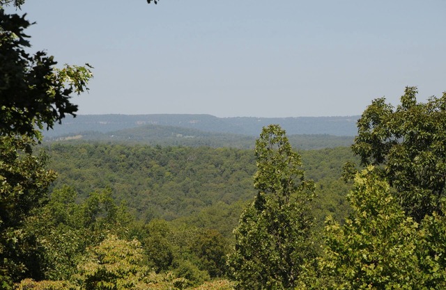 Mountain Cabin on 50 acres, Self Isolate you and your family