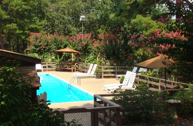 Mountain Harbor King Guest Room on Lake Ouachita by RedAwning
