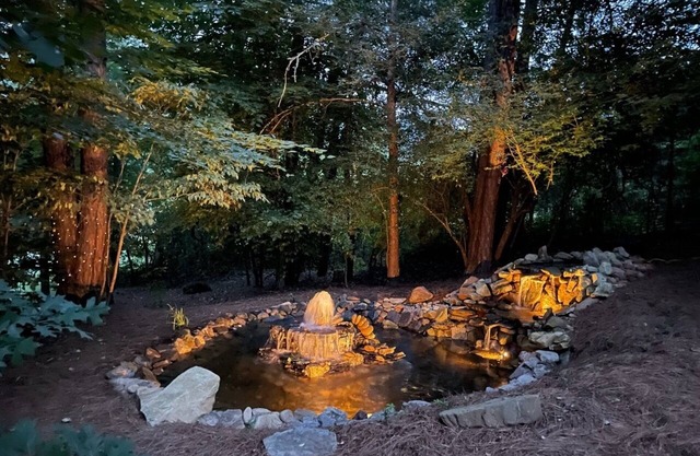 Mountain Oasis