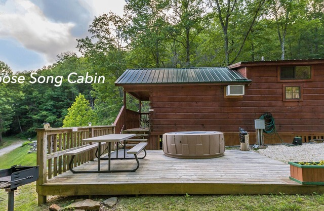 Mountain Serenity & Close To Hiking, Rafting, Fishing And Kayaking. "Moose Song"
