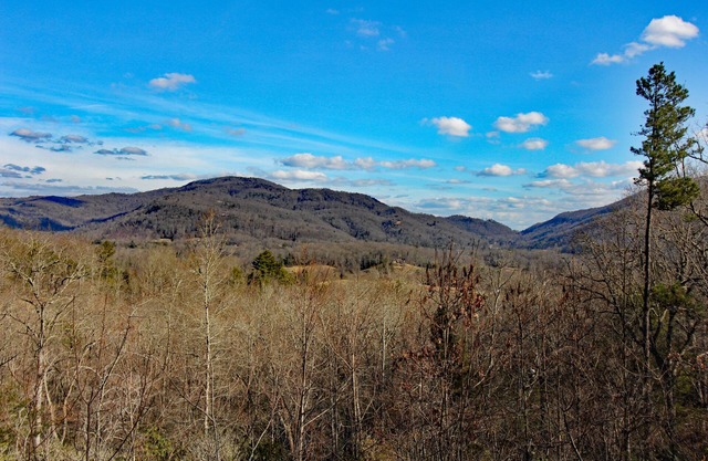 Mountain Views & Solitude. This is Shadow Ridge. Hot Tub.