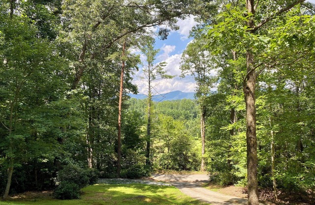 Mountainview Escape - Dog-Friendly/Screened Porch/3 Bed/2.5 Bath!