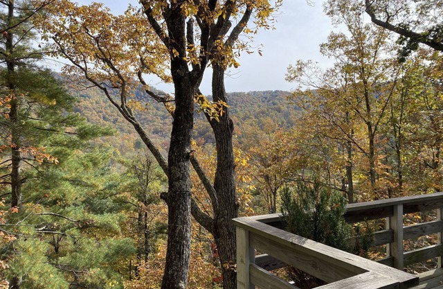 Mtn. Getaway- Close to Blue Ridge Pkwy (2)