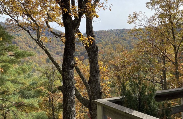 Mtn. Getaway w/New Hot tub close to Blue Ridge Parkway