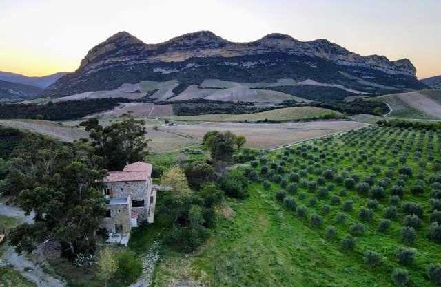 MULINU BIANCU