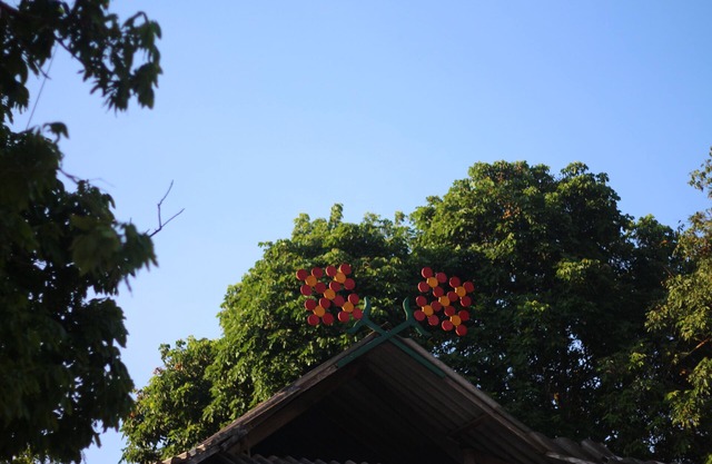 Muong Lo Corner - Beds and Cuisine of Tai ethnic