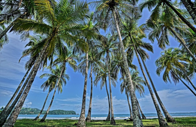 Nammbú Beachfront Bungalows