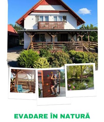 Natural Retreat Apartment Sovata