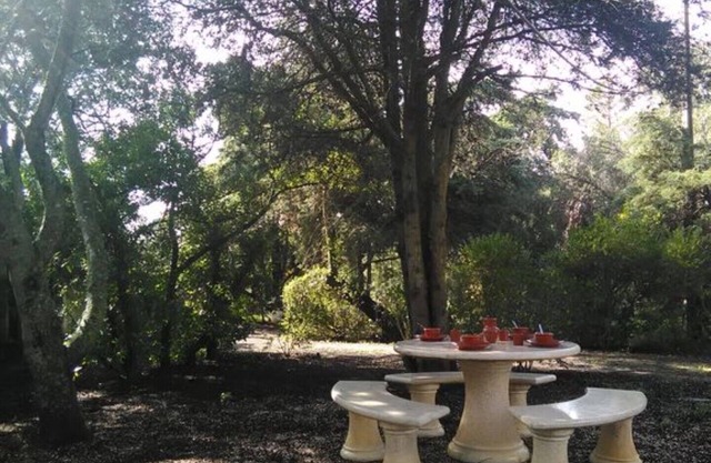 Nature House I (3 km from Lagos beaches)