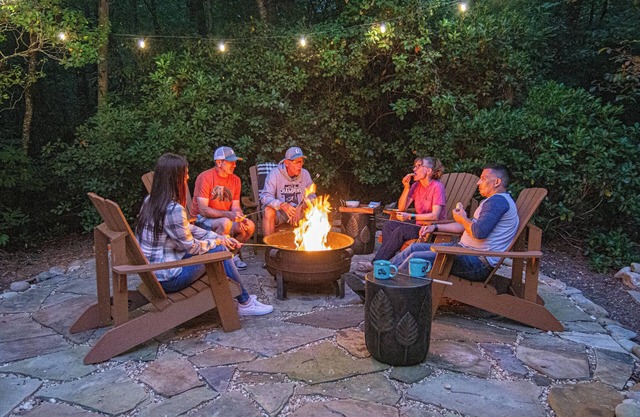 Near Helen Stargazer Hammock Hot Tub, Fire Pit