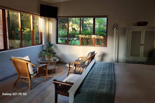 Nel's Studio