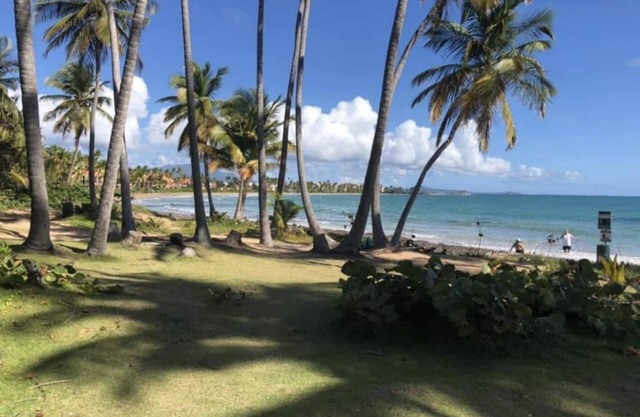 New 4 Bedrooms Beach House+ in Palmas Del Mar + free Golf Cart+ Bar+ Plunge Pool