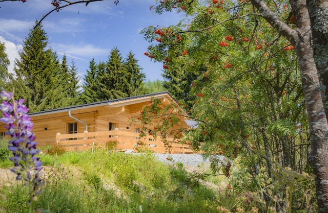 New exclusive chalet in the Bavarian Forest National Park for up to 4 people